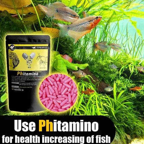 phitamino مکمل فیتامینو ای شریمپ