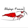 Shrimps Forever