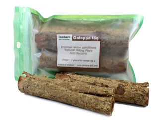 پوست کاتاپا تانتورا: تغذیه و پناهگاه طبیعی برای میگو