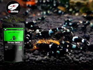 shrimp smile غذای شریمپ اسمایل ای شریمپ
