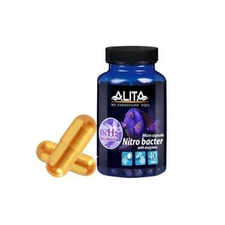 باکتری زنده سیکل کپسول آلیتا 💊🦠💧