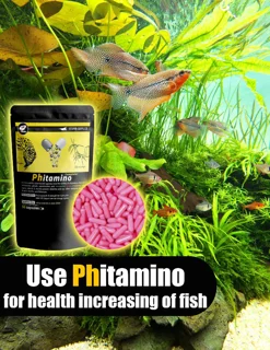 phitamino مکمل فیتامینو ای شریمپ