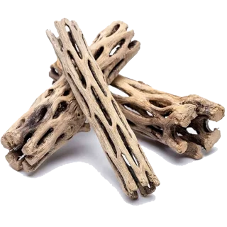 چوب چولا – چوب تزئینی طبیعی (Cholla) برای نگهداری و پرورش میگو