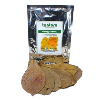 برگ‌های کاتاپا فوق‌العاده بزرگ تانتورا: تغذیه مکمل طبیعی برای آکواریوم